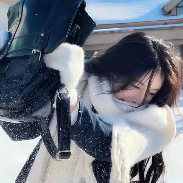 羊狼共和国:猪事大急