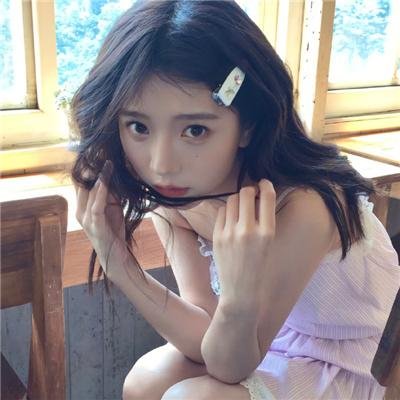会飞的驴