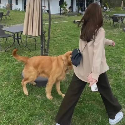 换爱四人组